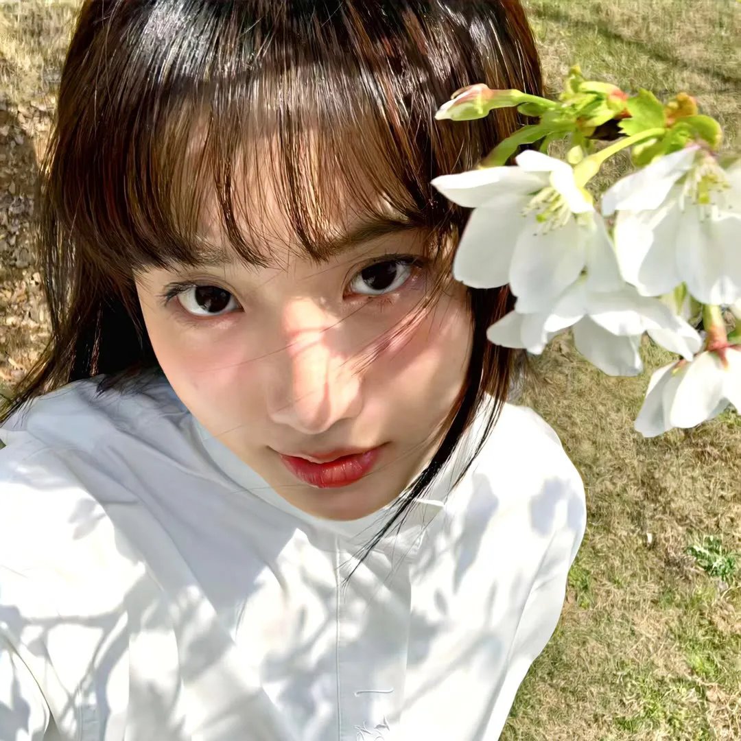 春花秋月未了情